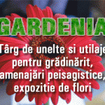 1, cele mai articole despre 1