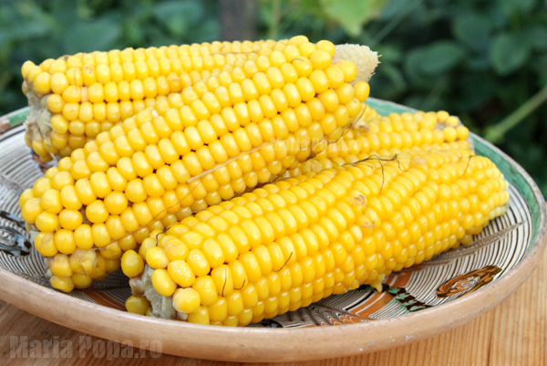 cel mai bun porumb fiert